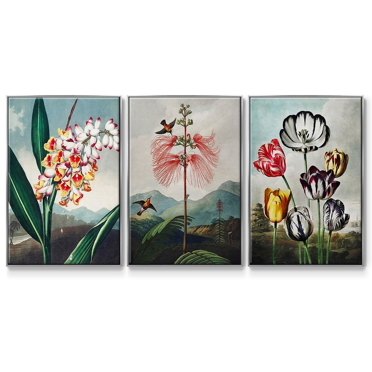 Temple of Flora VI - Floater Framed Canvas Set