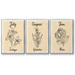 Birth Month VI - Floater Framed Canvas Set