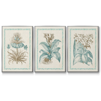Willow Blue Besler I - Floater Framed Canvas Set
