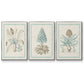 Willow Blue Besler IV - Floater Framed Canvas Set