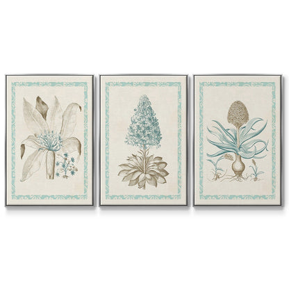 Willow Blue Besler IV - Floater Framed Canvas Set