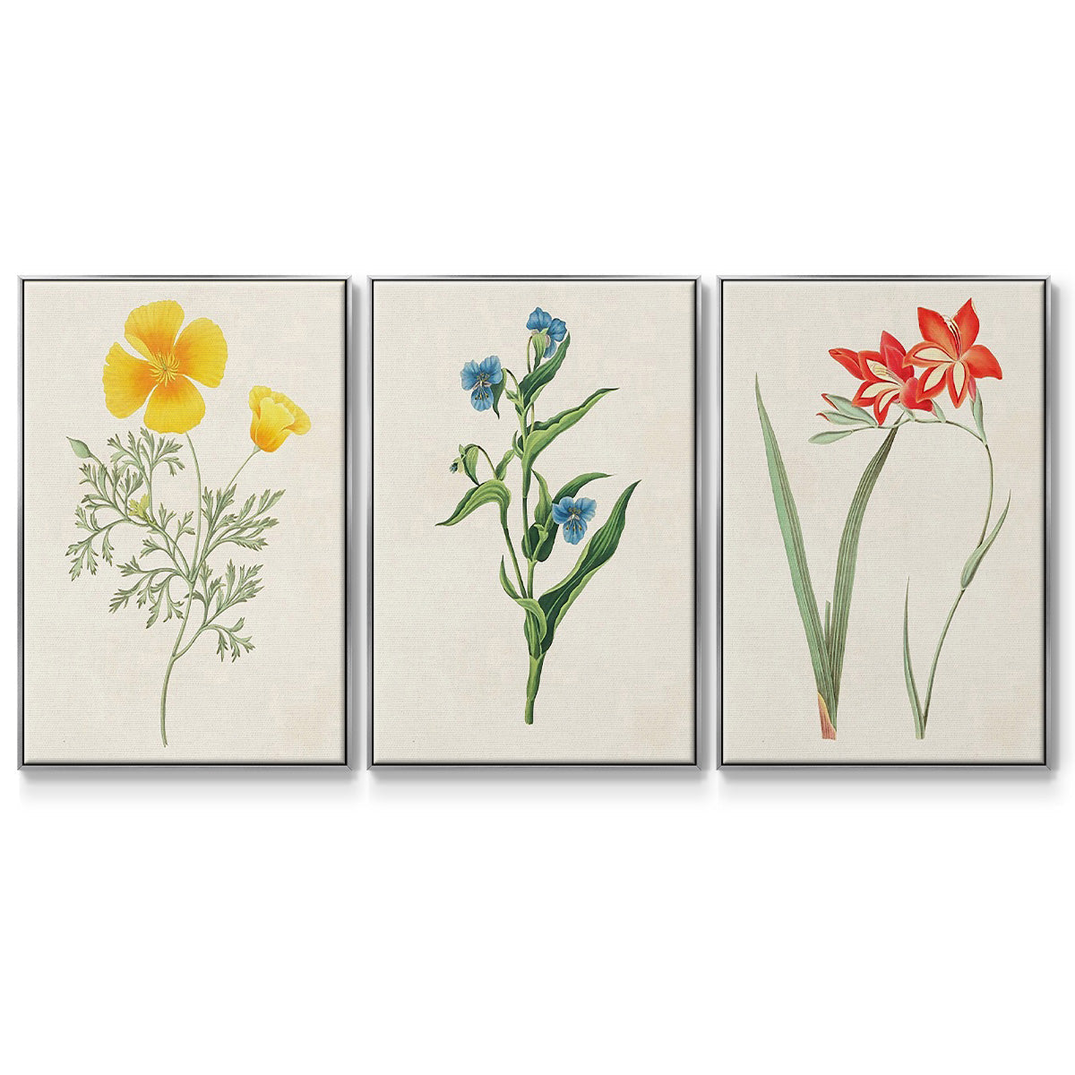 Flowers of the Seasons IV - Floater Framed Canvas Set