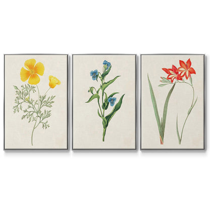 Flowers of the Seasons IV - Floater Framed Canvas Set