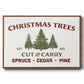 Christmas Farm Sign I - Floater Framed Canvas Print