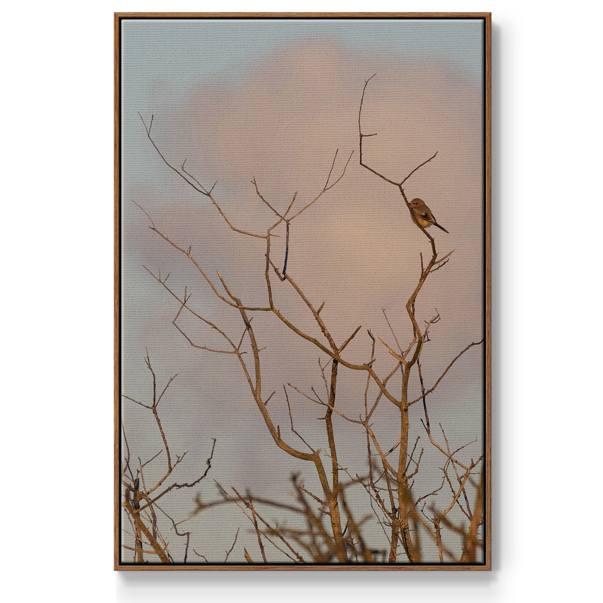 At Dawn - Floater Framed Canvas Print