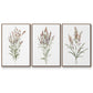 Dainty Botanical I - Floater Framed Canvas Set