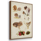 Mushroom Species I - Floater Framed Canvas Set