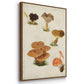 Mushroom Species IV - Floater Framed Canvas Set