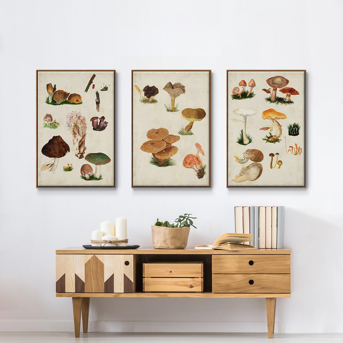 Mushroom Species IV - Floater Framed Canvas Set