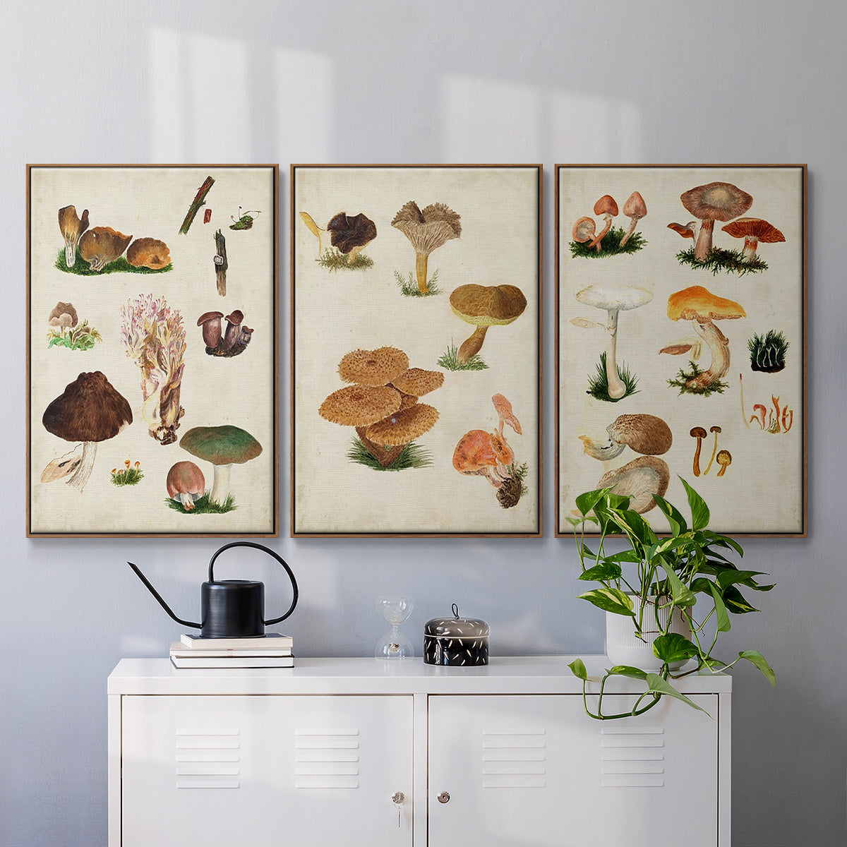 Mushroom Species IV - Floater Framed Canvas Set