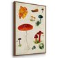 Mushroom Species VI - Floater Framed Canvas Set
