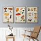Mushroom Species VI - Floater Framed Canvas Set