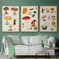 Mushroom Species VI - Floater Framed Canvas Set