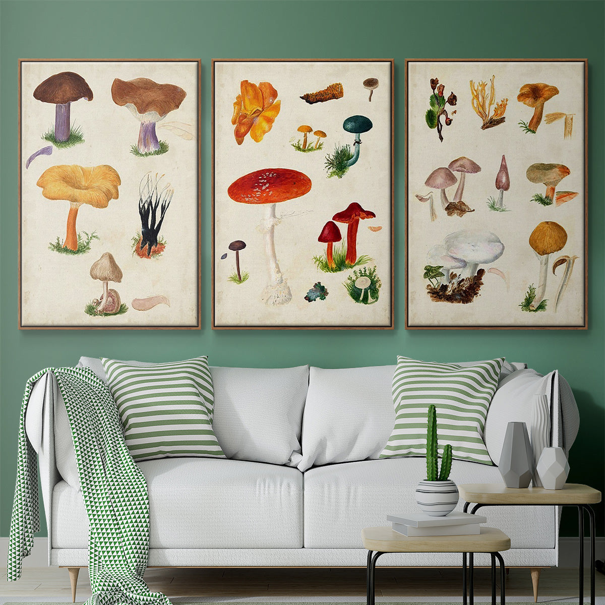 Mushroom Species VI - Floater Framed Canvas Set