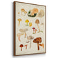 Mushroom Species X - Floater Framed Canvas Set