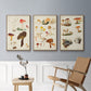 Mushroom Species X - Floater Framed Canvas Set