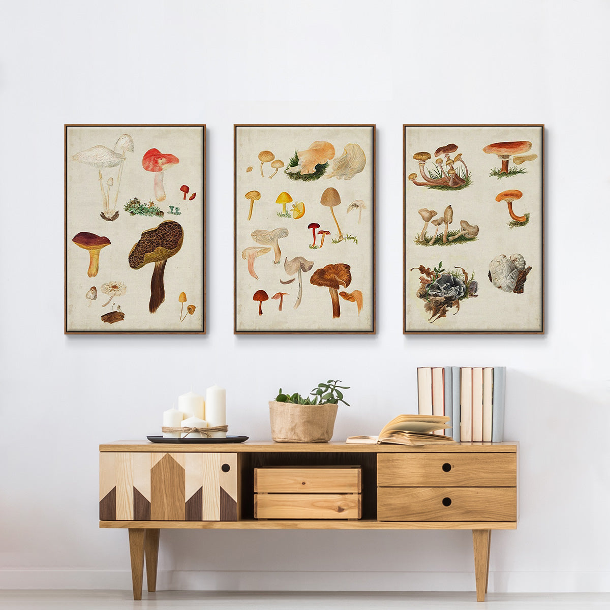 Mushroom Species X - Floater Framed Canvas Set