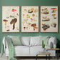 Mushroom Species X - Floater Framed Canvas Set
