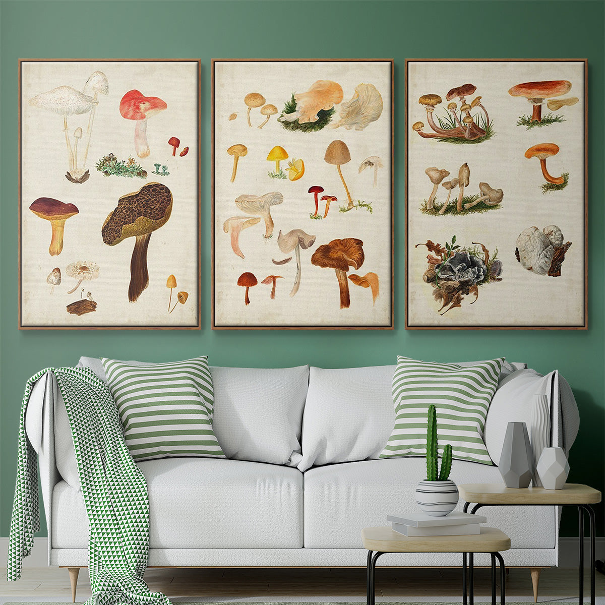 Mushroom Species X - Floater Framed Canvas Set