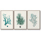 Antique Coastal Coral IV - Floater Framed Canvas Set