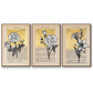 Floral Diary I - Floater Framed Canvas Set