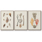 Knorr Shells & Coral IV - Floater Framed Canvas Set