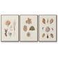 Knorr Shells & Coral VI - Floater Framed Canvas Set