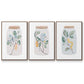 Nature Jar I - Floater Framed Canvas Set