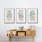 Nature Jar I - Floater Framed Canvas Set