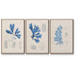 Blue Marine Algae VI - Floater Framed Canvas Set