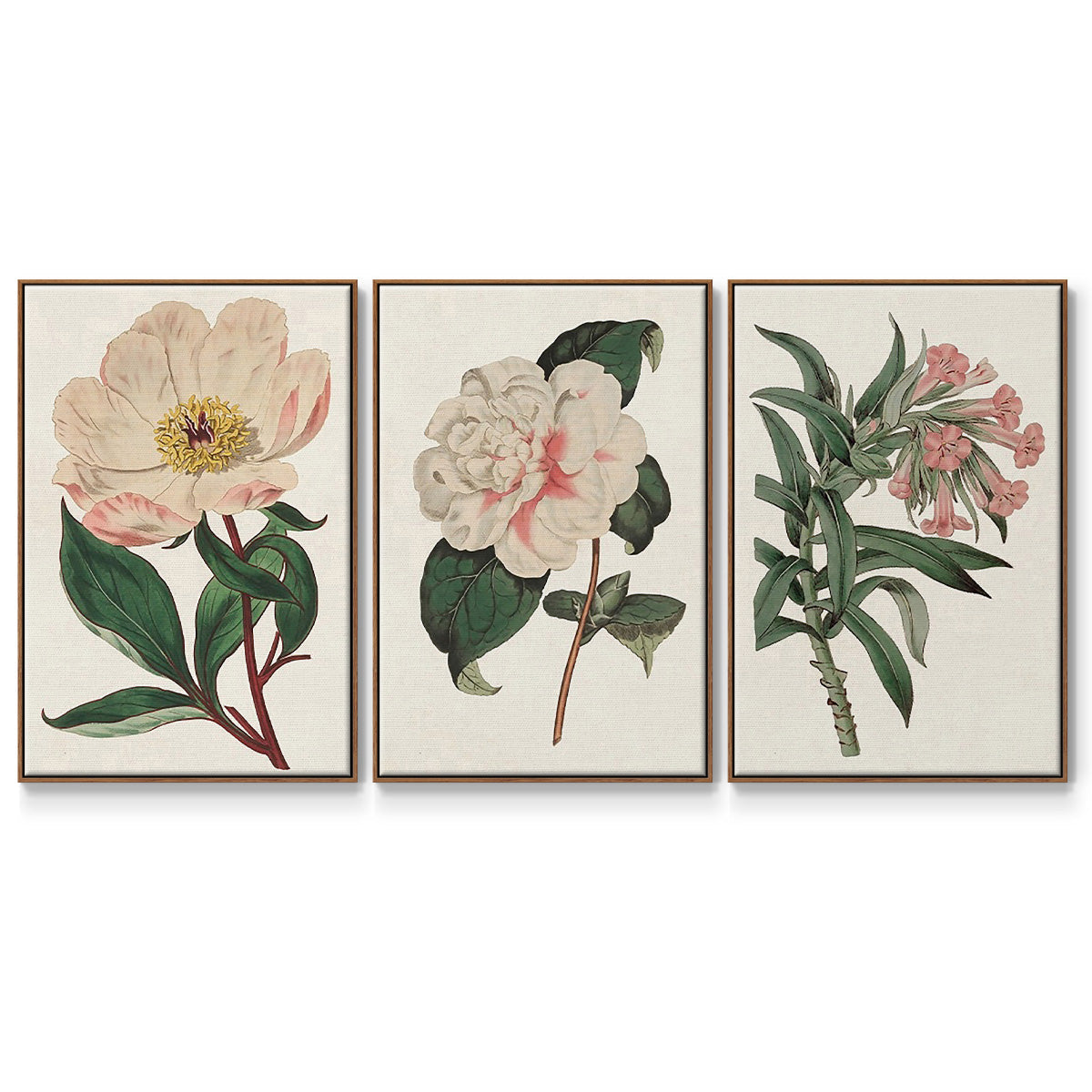Pink Floral Mix VI - Floater Framed Canvas Set