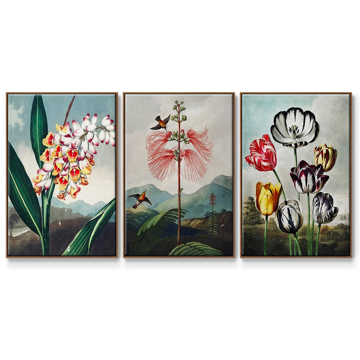 Temple of Flora VI - Floater Framed Canvas Set