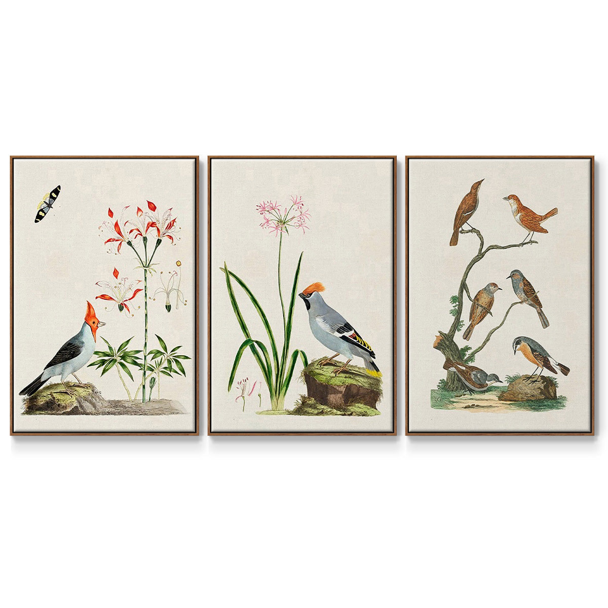Antique Birds in Nature IV - Floater Framed Canvas Set