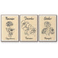Birth Month X - Floater Framed Canvas Set