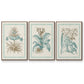 Willow Blue Besler I - Floater Framed Canvas Set