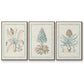 Willow Blue Besler IV - Floater Framed Canvas Set