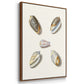 Pastel Knorr Shells I - Floater Framed Canvas Set