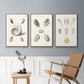 Pastel Knorr Shells I - Floater Framed Canvas Set