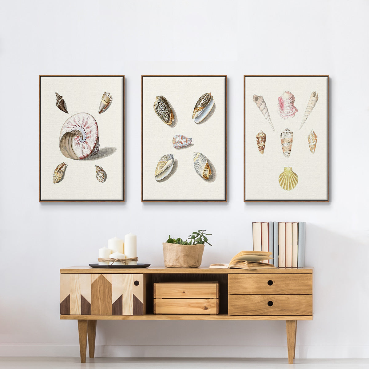 Pastel Knorr Shells I - Floater Framed Canvas Set