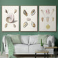 Pastel Knorr Shells I - Floater Framed Canvas Set