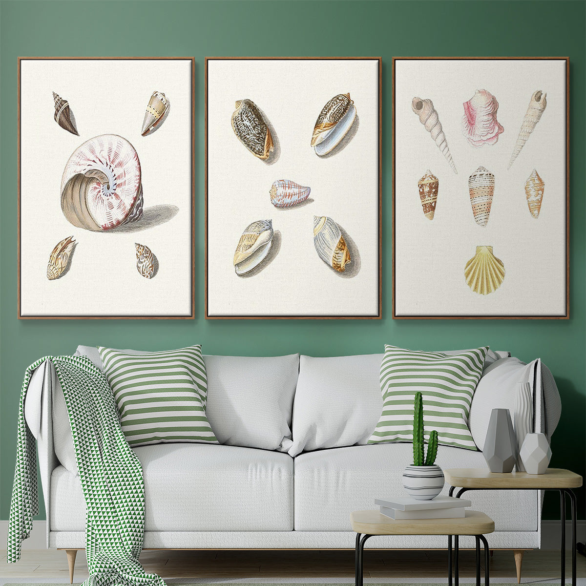 Pastel Knorr Shells I - Floater Framed Canvas Set