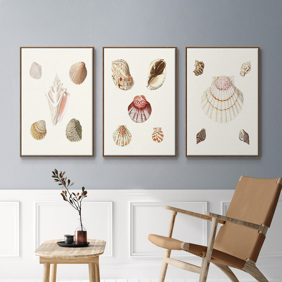 Pastel Knorr Shells IV - Floater Framed Canvas Set