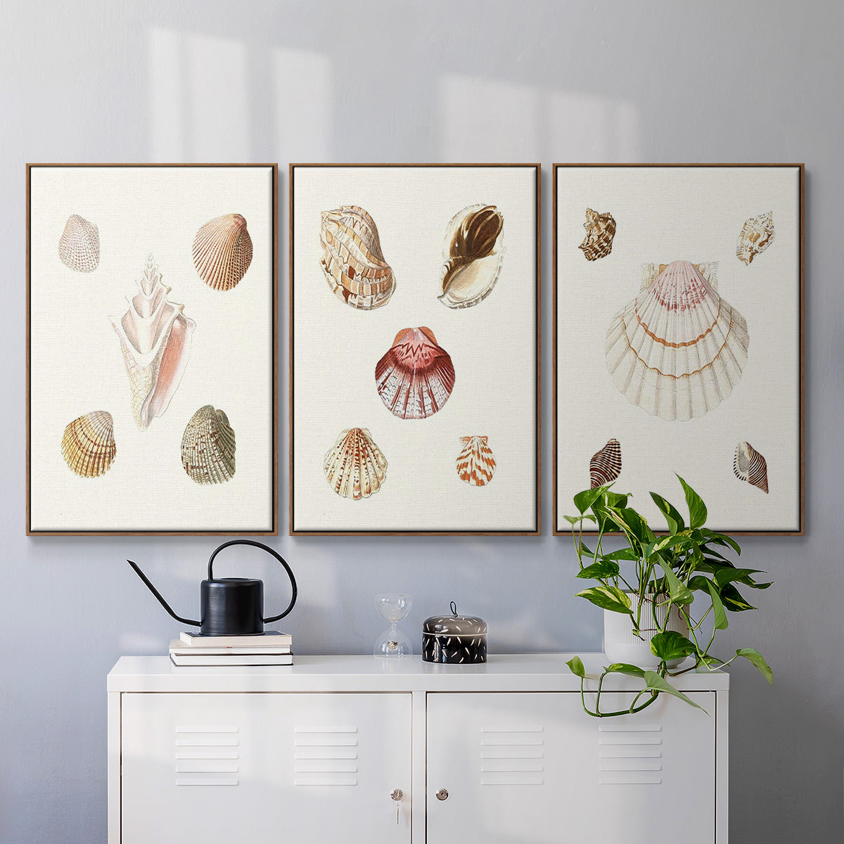 Pastel Knorr Shells IV - Floater Framed Canvas Set