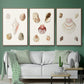 Pastel Knorr Shells IV - Floater Framed Canvas Set