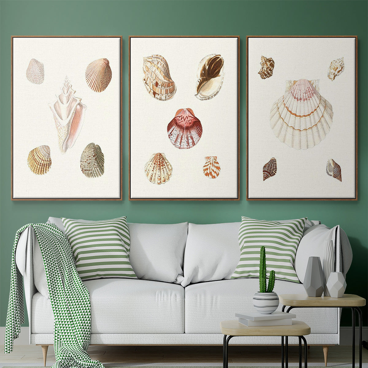 Pastel Knorr Shells IV - Floater Framed Canvas Set