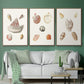 Pastel Knorr Shells VI - Floater Framed Canvas Set