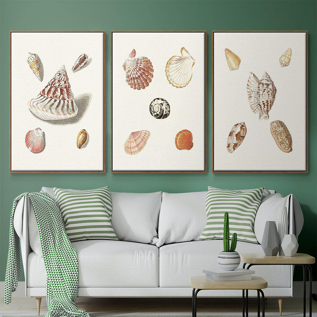Pastel Knorr Shells VI - Floater Framed Canvas Set