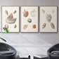 Pastel Knorr Shells VI - Floater Framed Canvas Set