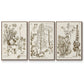 Sepia Botanical Journal IV - Floater Framed Canvas Set
