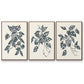 Growing Leaves I - Floater Framed Canvas Set
